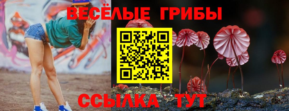 Галлюциногенные грибы мухоморы Благодарный