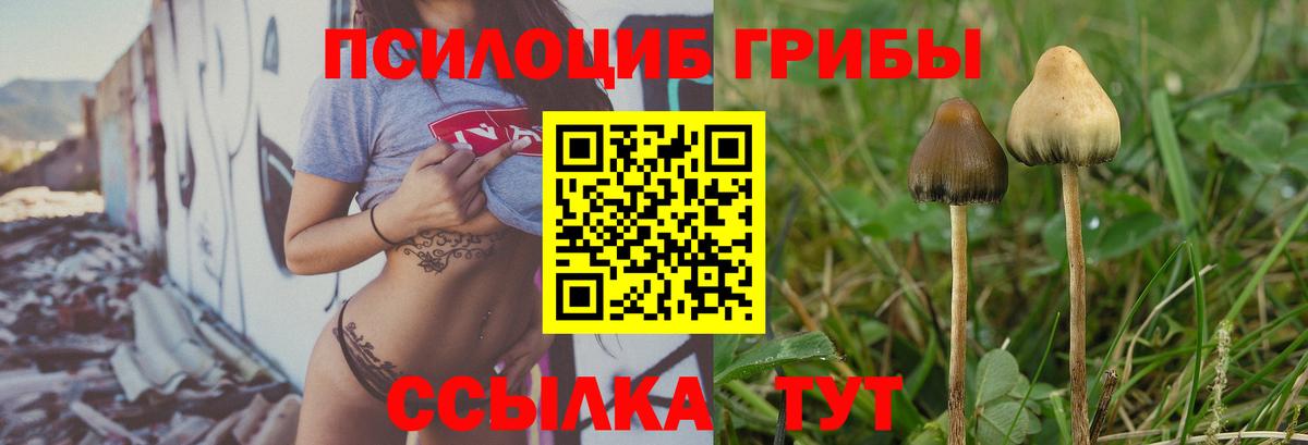 Псилоцибиновые грибы GOLDEN TEACHER  наркошоп  Галлюциногенные грибы GOLDEN TEACHER  Благодарный  Вход с VPN 